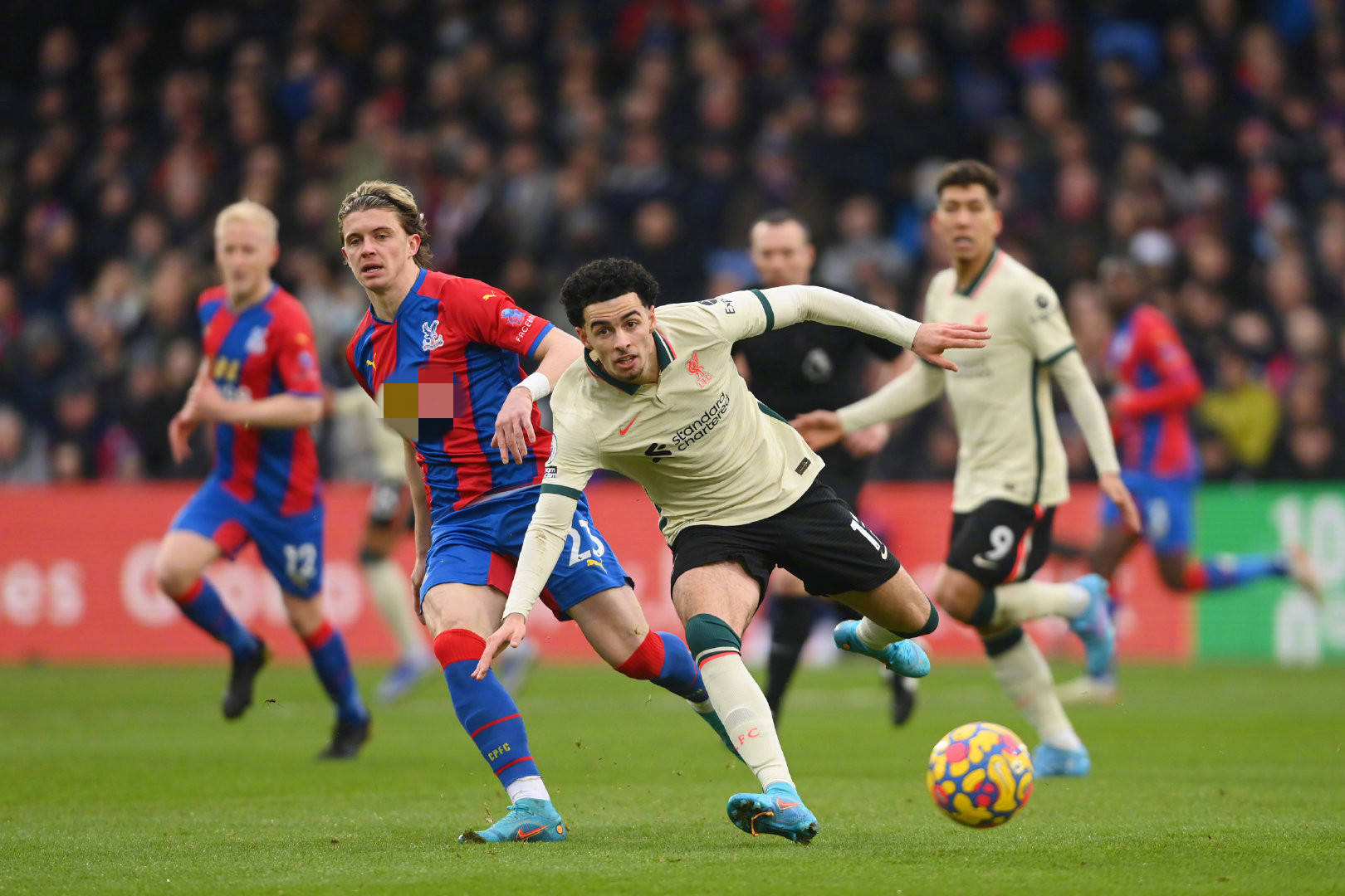 偶像和追求 偶像和追求